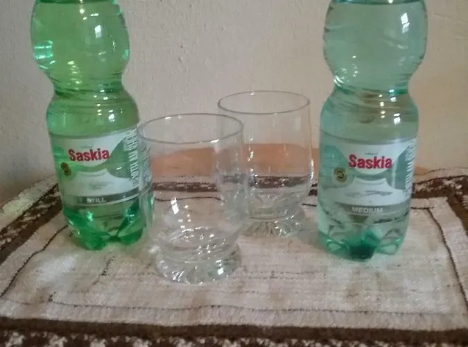 Refugium Thanatcha * רייל